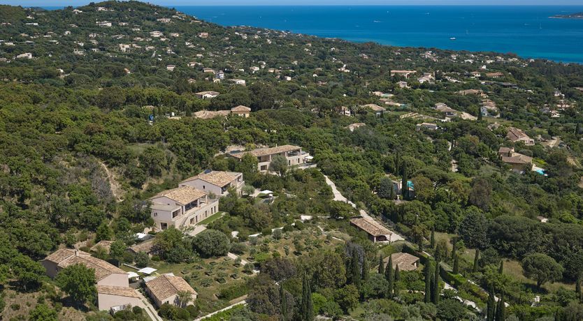 Photo of Vivid Stone