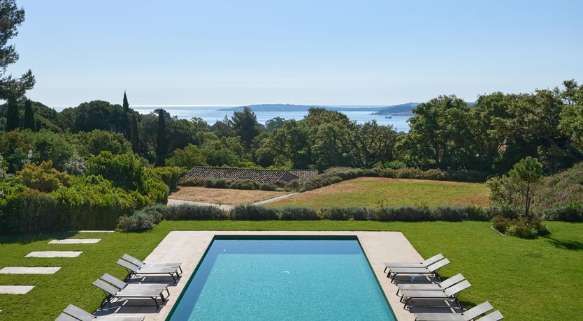 Photo of Vivid Stone