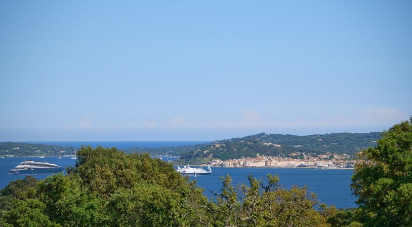 Photo of Vivid Stone