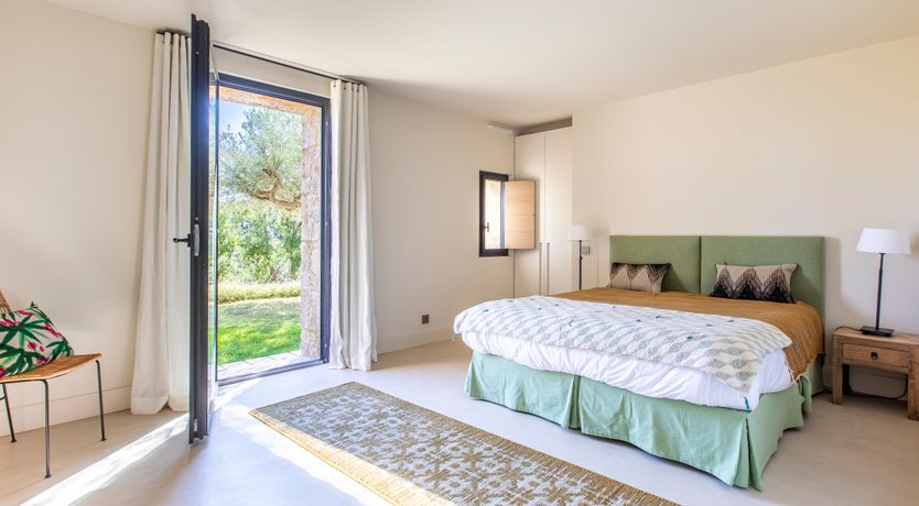 Photo of Vivid Stone