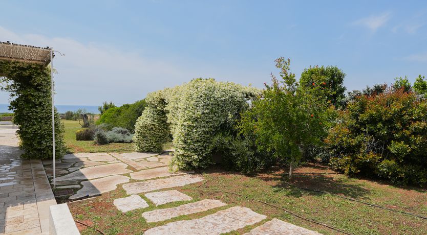 Photo of Golden Stone House