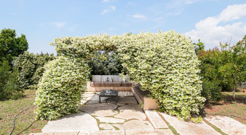 Photo of Golden Stone House