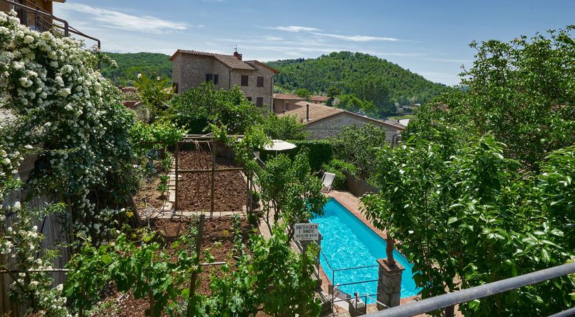 Photo of Sunlight Embrace