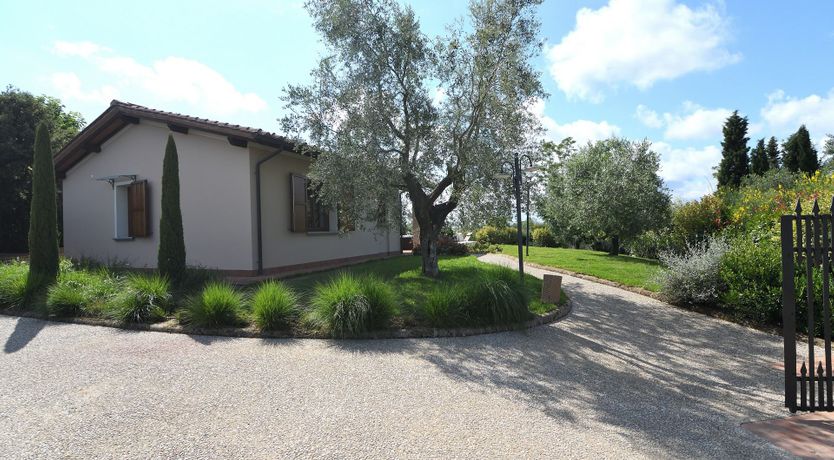 Photo of The Medici Dynasty