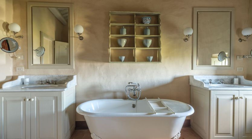 Photo of Vineyards & Lavenders