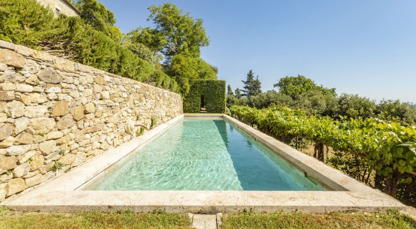 Photo of Vineyards & Lavenders