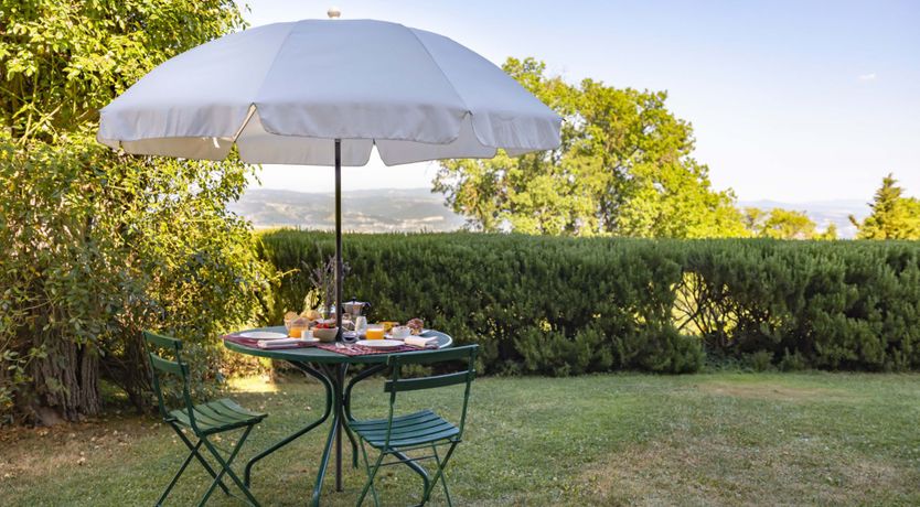 Photo of Vineyards & Lavenders