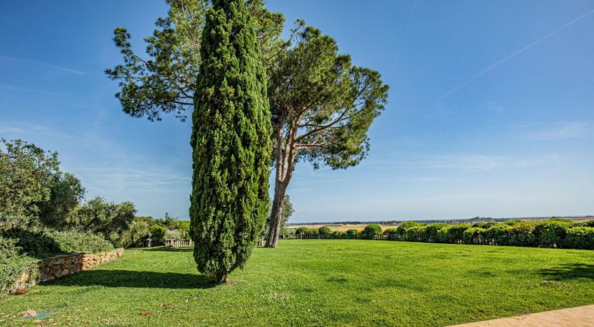 Photo of Charming Views