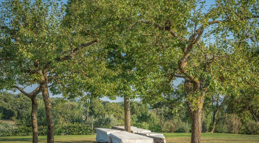 Photo of Heaven's Domain