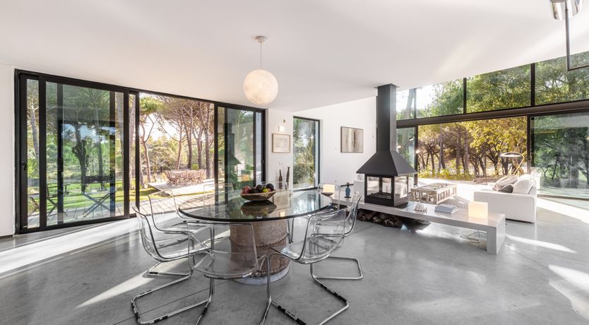 Photo of The Pine Meadow