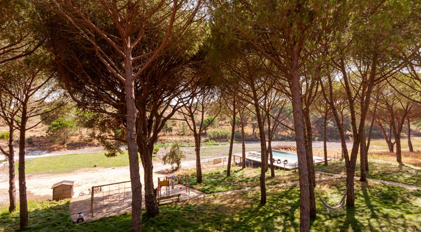 Photo of The Pine Meadow