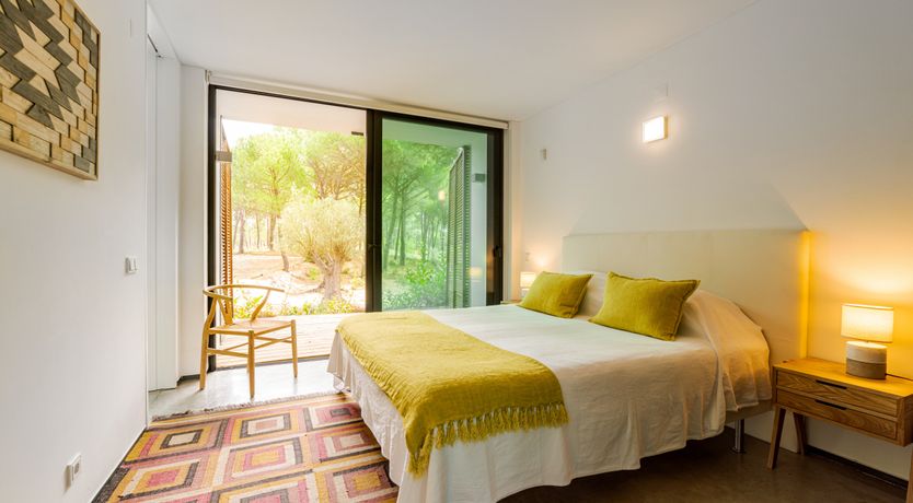 Photo of The Pine Meadow