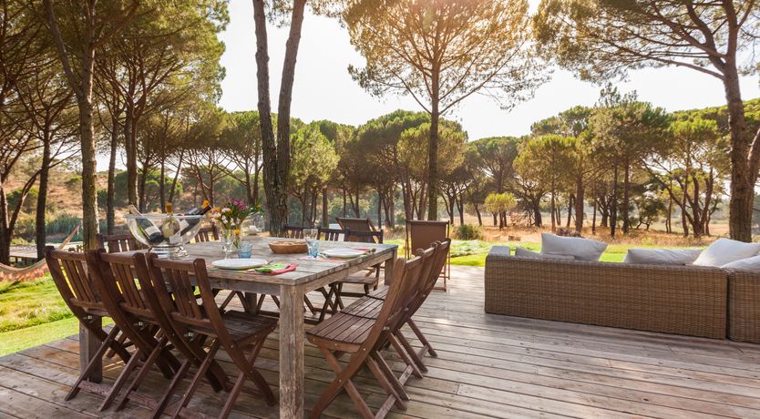 Photo of The Pine Meadow