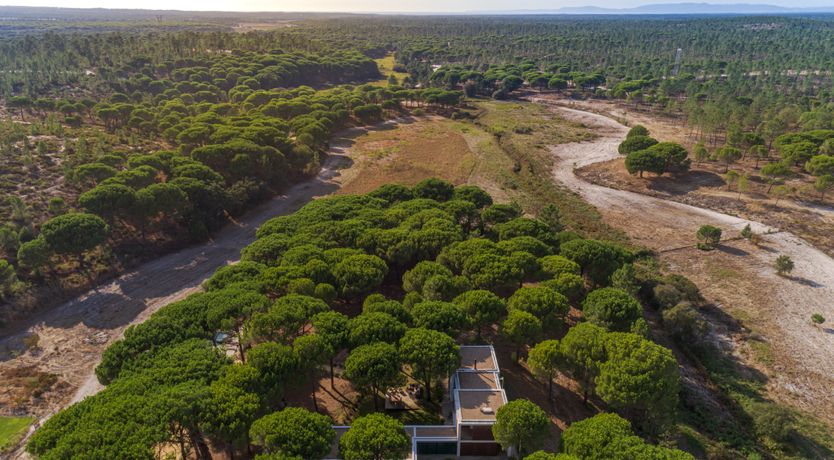 Photo of The Pine Meadow
