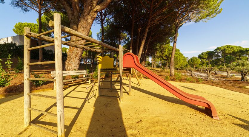 Photo of The Pine Meadow