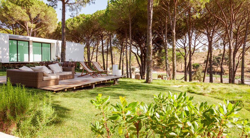 Photo of The Pine Meadow