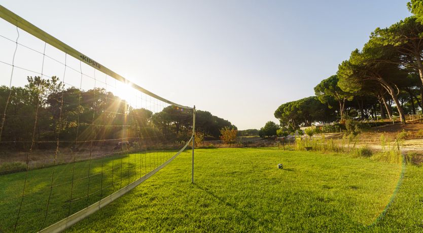 Photo of The Pine Meadow