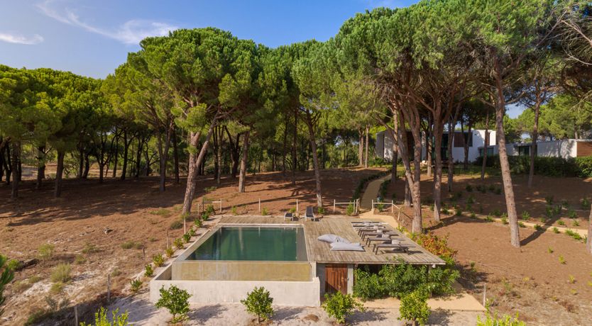 Photo of The Pine Meadow