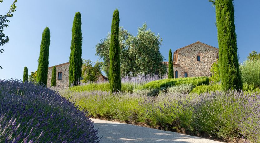 Photo of Ancient Vista