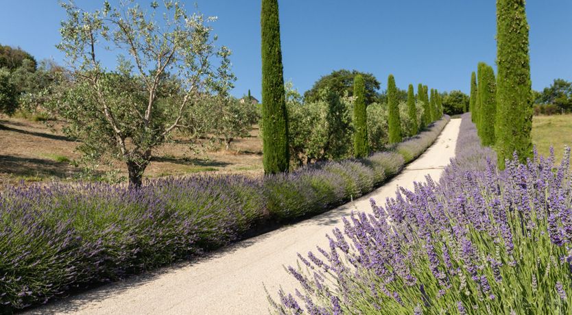 Photo of Ancient Vista