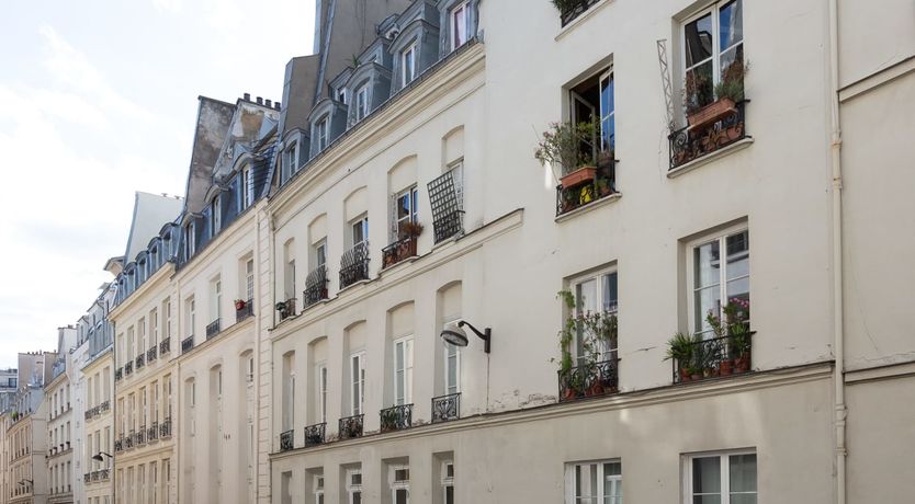 Photo of Napoleon's Neighbour