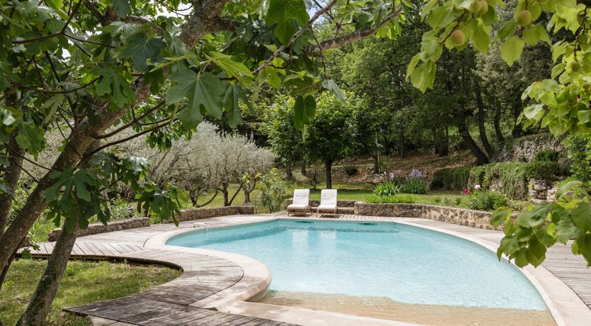 Photo of Rustic Jewel