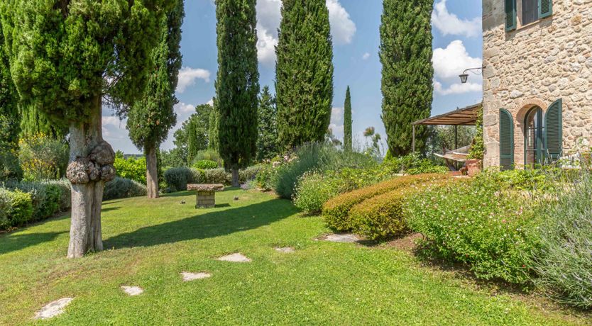 Photo of Warm Sunlight