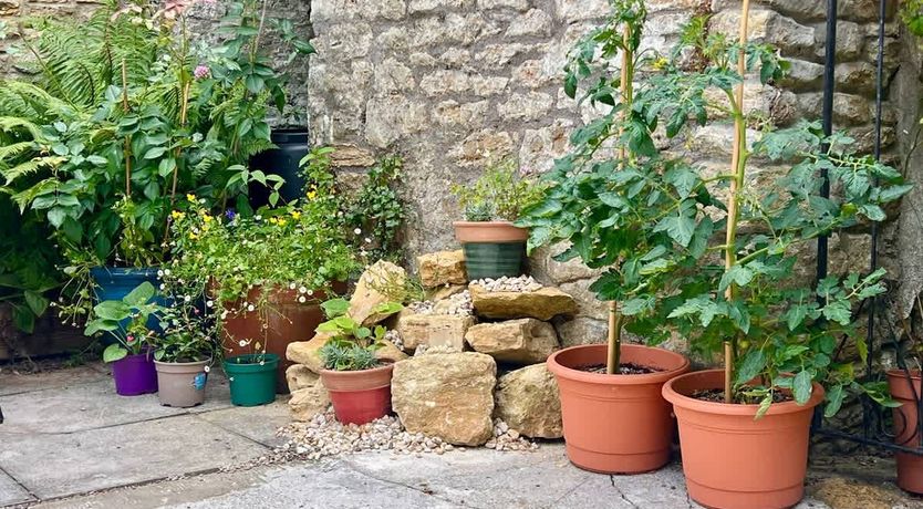 Photo of Gabled Heights