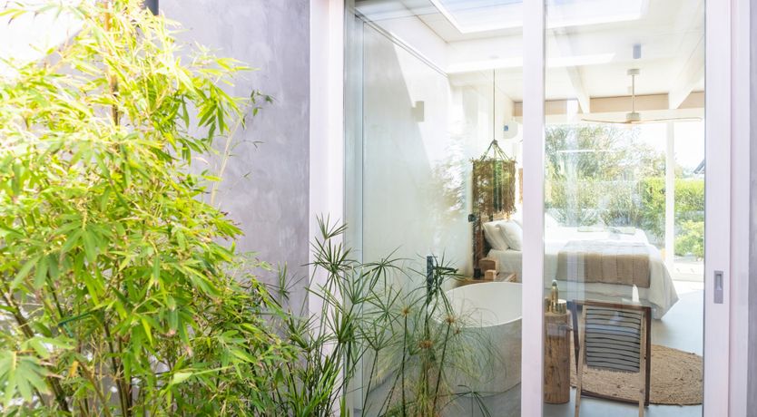 Photo of Comporta Pimenta