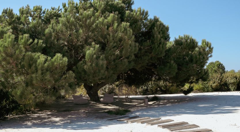 Photo of Beauty's Secret