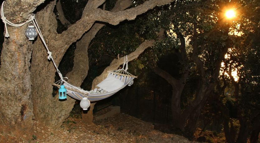 Photo of A Sicilian Story