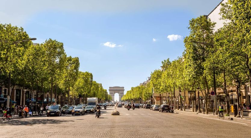 Photo of Champions of the Sky