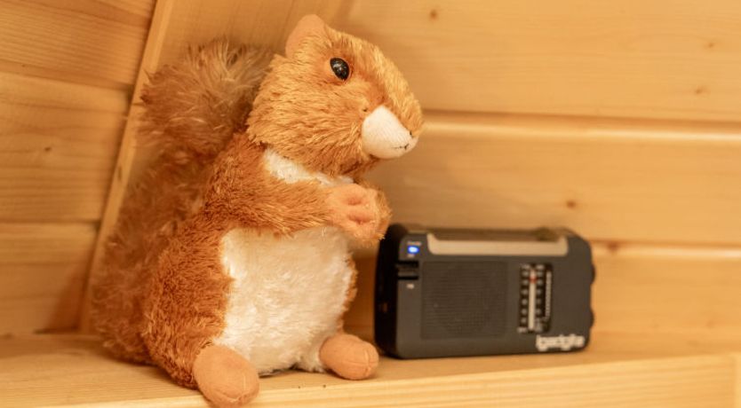 Photo of Birch Bothy Apartment 7