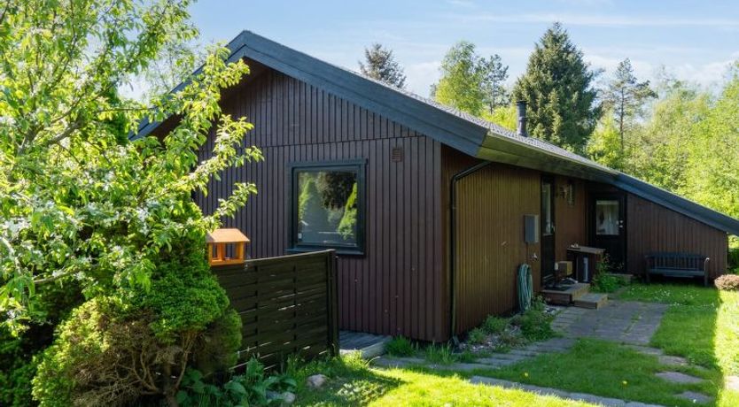 Photo of "Rui" - 1km from the sea