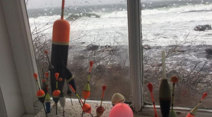 Photo of "Asgot" - 15m from the sea