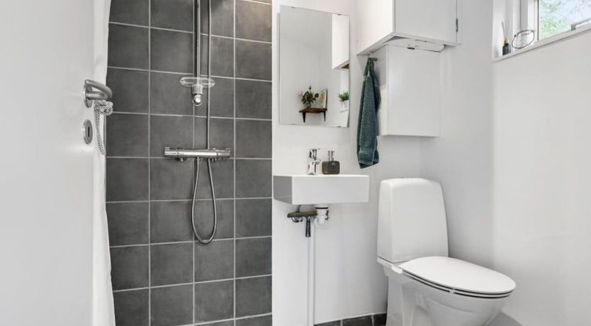 Photo of "Andy" - 150m from the sea