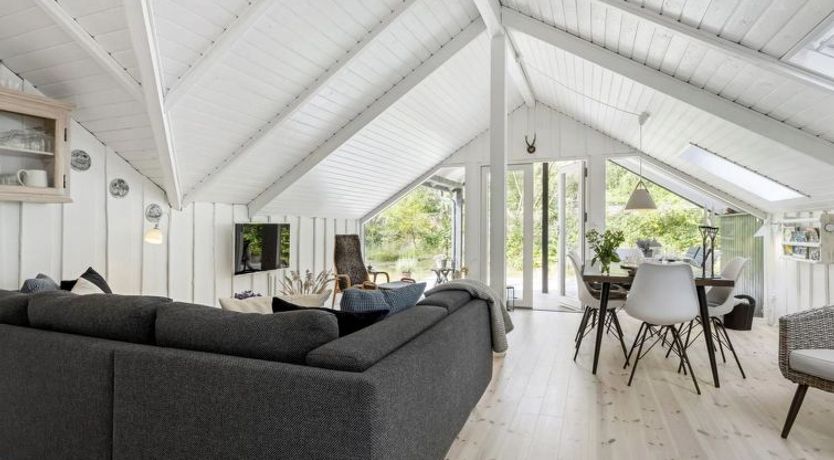 Photo of "Andy" - 150m from the sea