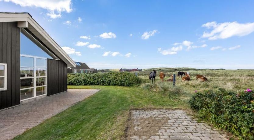 Photo of "Aiana" - 300m from the sea