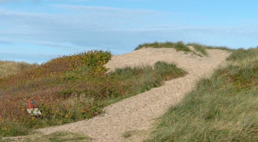 Photo of "Marissa" - 200m from the sea