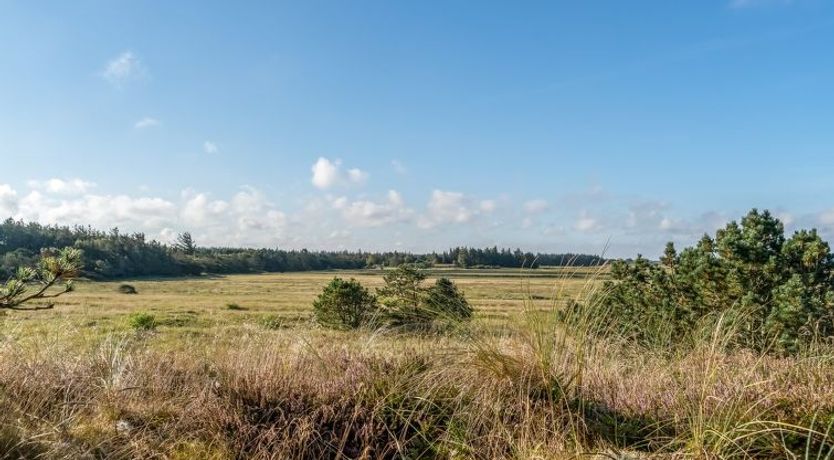 Photo of "Anneka" - 750m from the sea