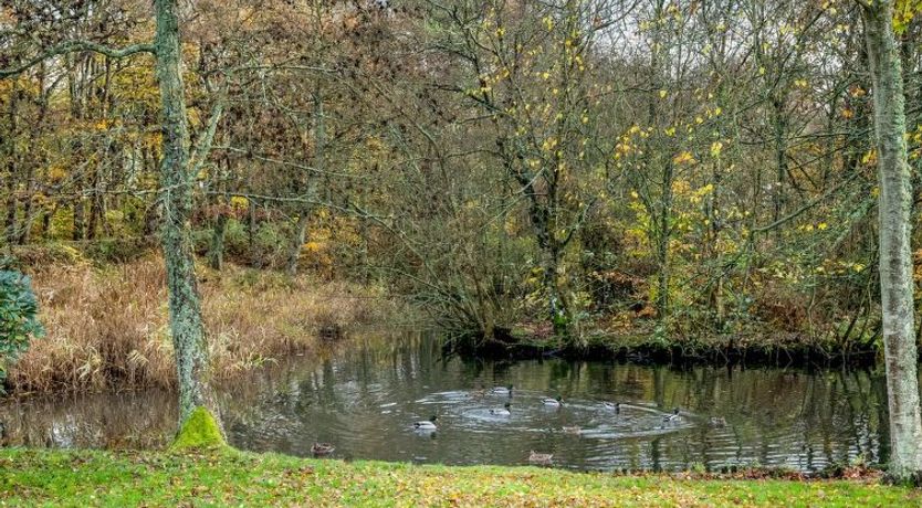 Photo of "Trpana" - 1km to the fjord