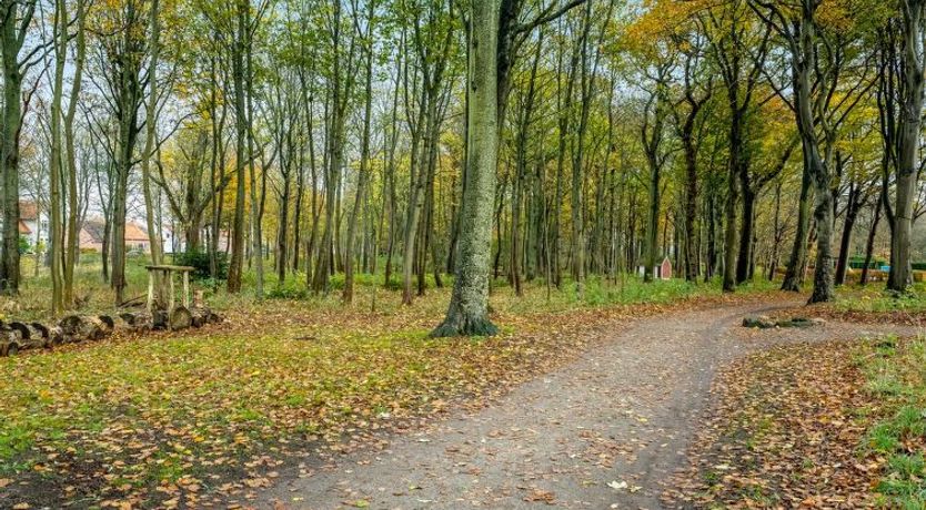 Photo of "Trpana" - 1km to the fjord