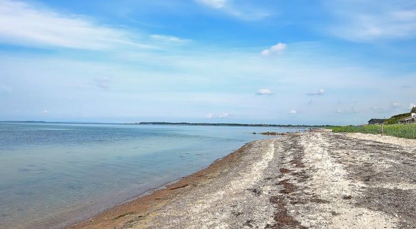 Photo of "Gertje" - 20m from the sea