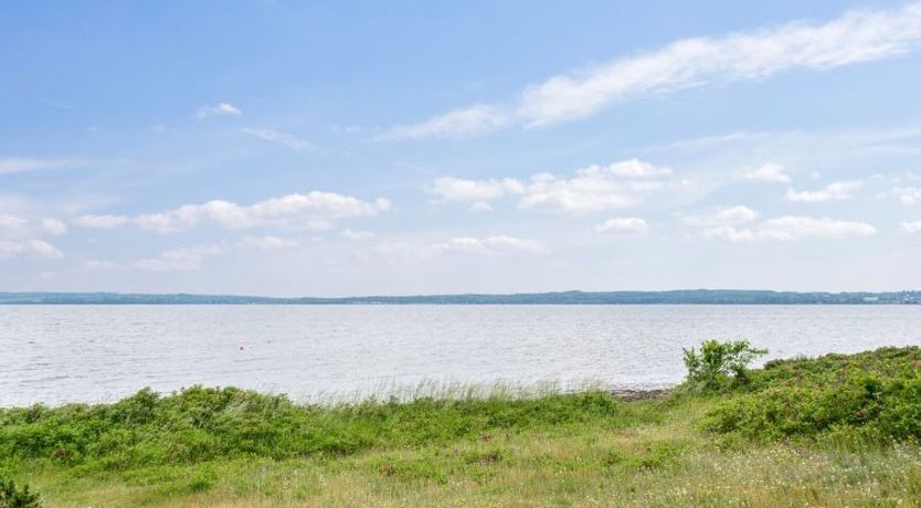 Photo of "Benni" - 120m to the fjord