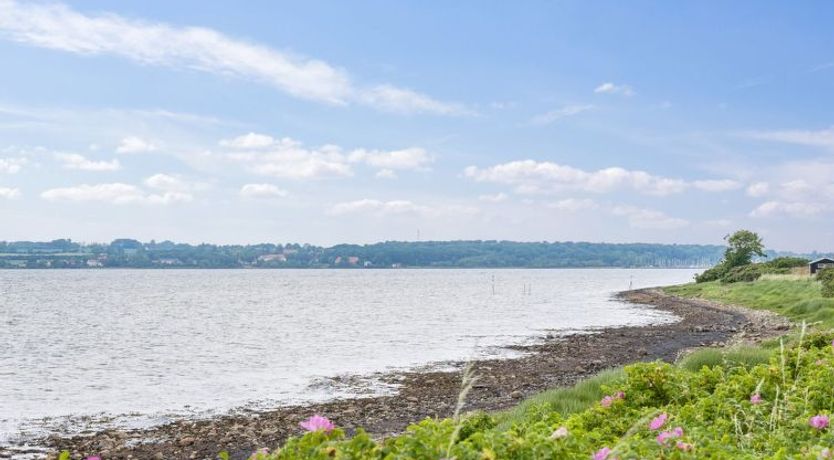 Photo of "Benni" - 120m to the fjord