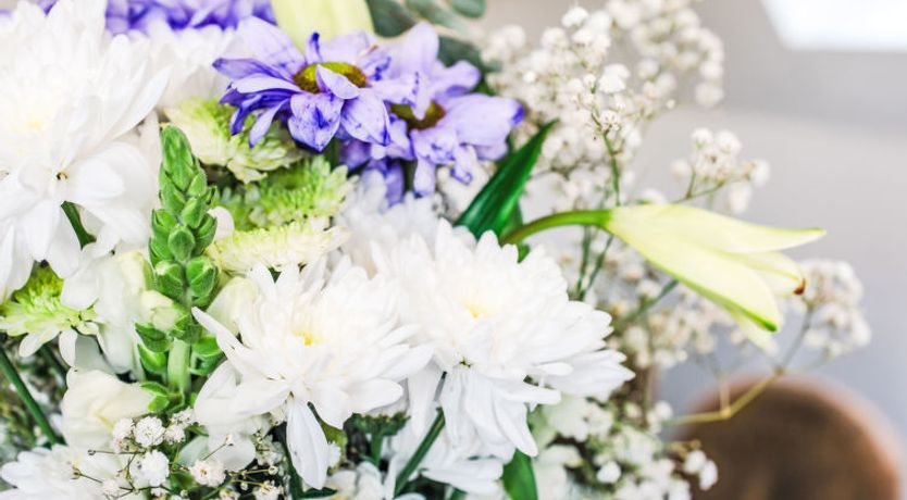 Photo of Pine Needle Lodge