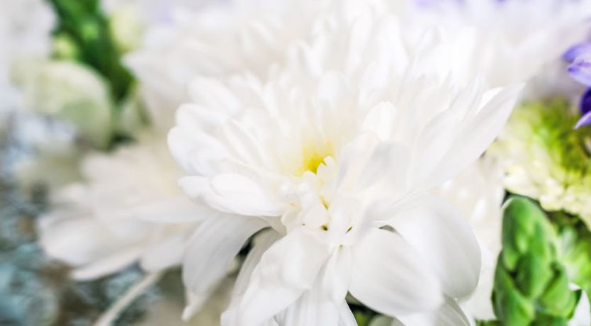 Photo of Pine Needle Lodge