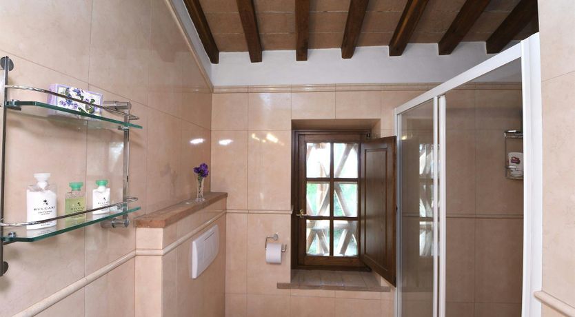 Photo of Into the Tuscan Wild