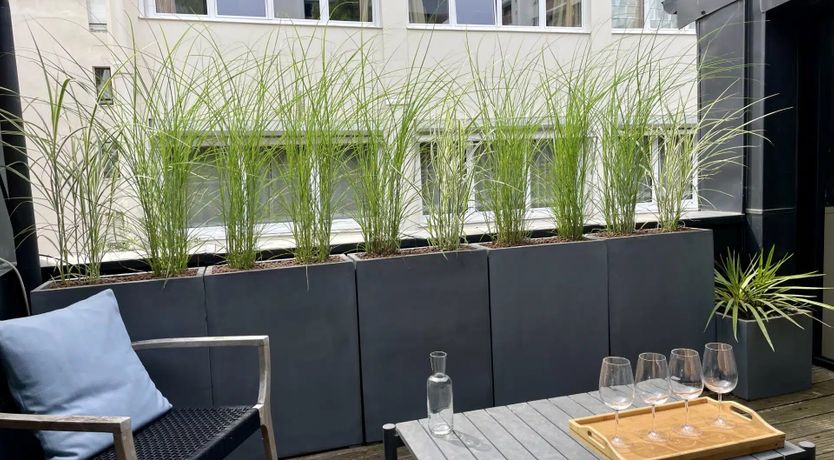 Photo of Bastille in Bloom