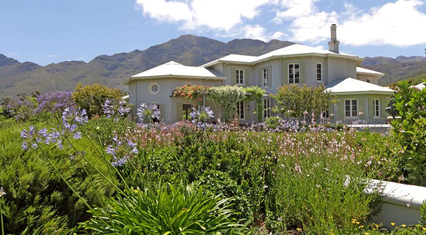 Photo of Vineyard's Embrace